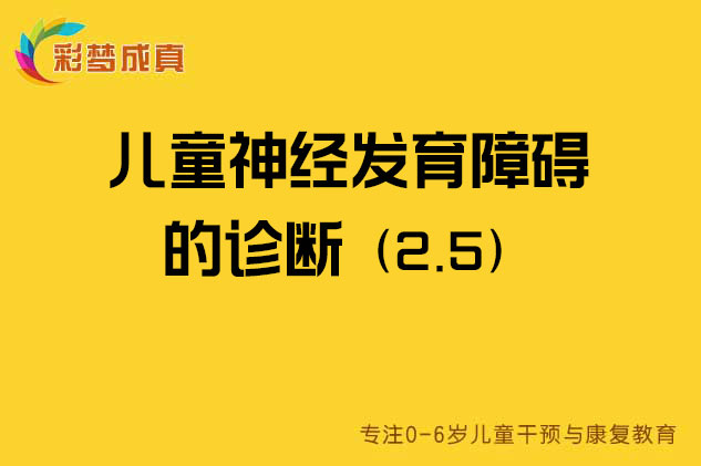 儿童神经发育障碍的诊断2.5